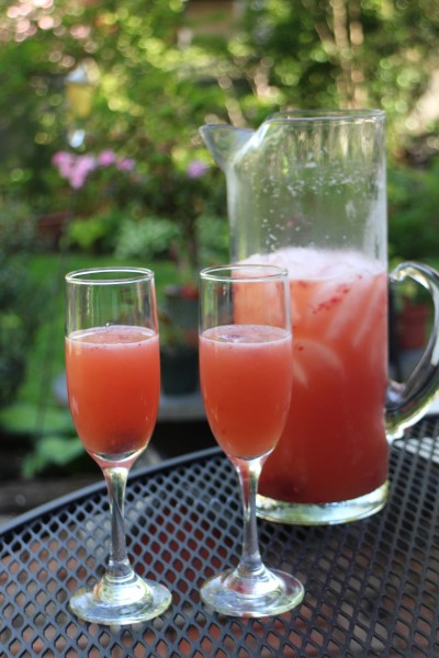 The Backyard Spritzer