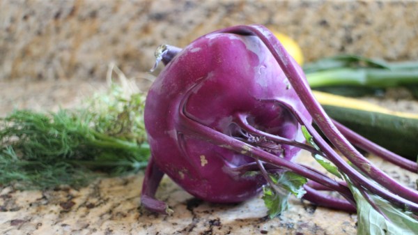 Kohlrabi and Summer Squash Fritters with Yogurt-Dill Sauce
