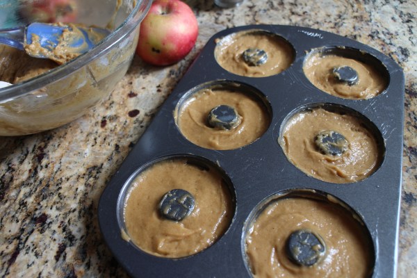 Apple Cider Doughnuts