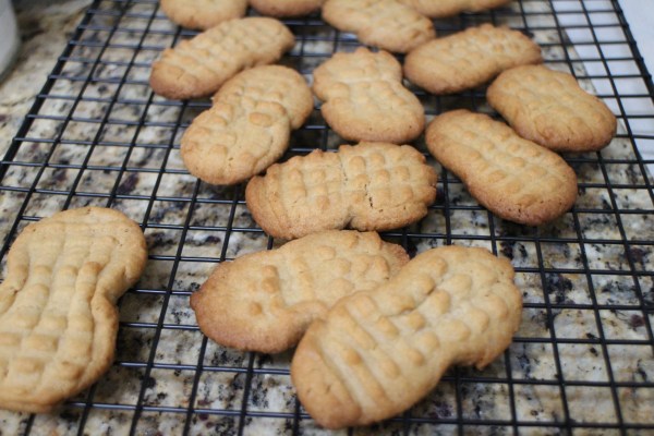 Homemade Nutter Butters